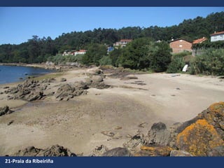 21-Praia da Ribeiriña
 