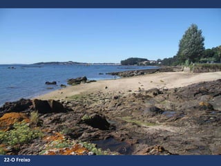 22-O Freixo
 