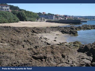 Praia da Poza e punta do Toxal
 