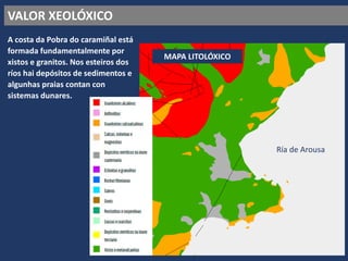VALOR XEOLÓXICO
A costa da Pobra do caramiñal está
formada fundamentalmente por
xistos e granitos. Nos esteiros dos
ríos hai depósitos de sedimentos e
algunhas praias contan con
sistemas dunares.
MAPA LITOLÓXICO
Ría de Arousa
 