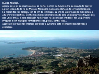 RÍA DE AROUSA
Ábrese entre as puntas Falcoeiro, ao norte, e o Con da Aguieira (na península do Grove),
ao sur, separada da ría de Muros e Noia polo macizo montañoso da serra da Barbanza.
É a maior das rías galegas, con 25 km de lonxitude, 10 km de largor na zona máis ampla e
230 km2 de superficie. É unha ría ampla e aberta formada pola unión dos vales fluviais dos
ríos Ulla e Umia, e nela desaugan numerosos ríos de menor entidade. Ten un perfil moi
irregular e con múltiples formacións: seos, praias, cantís, illas...
Acolle áreas de grande interese ecolóxico e cultural e está intensamente poboada e
explotada
 