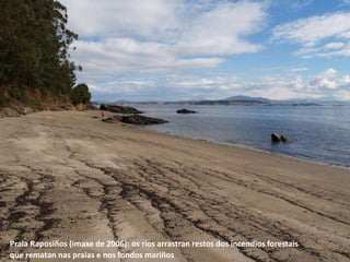 Praia Raposiños (imaxe de 2006): os ríos arrastran restos dos incendios forestais
que rematan nas praias e nos fondos mariños
 