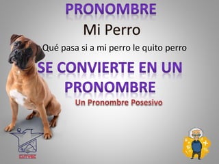• Qué pasa si a mi perro le quito perro
 