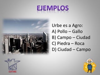 Urbe es a Agro:
A) Pollo – Gallo
B) Campo – Ciudad
C) Piedra – Roca
D) Ciudad – Campo
 