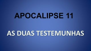 AS DUAS TESTEMUNHAS
APOCALIPSE 11
 