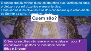 E concederei às minhas duas testemunhas que, vestidas de saco,
profetizem por mil duzentos e sessenta dias.
Estas são as duas oliveiras e os dois candeeiros que estão diante
do Senhor da terra. Apocalipse 11:3-4
O Senhor escolheu não revelar o nome delas em apoc 11.
As possíveis sugestões de identidade seriam:
Elias e Enoque
 