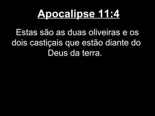 Apocalipse 11:4
 Estas são as duas oliveiras e os
dois castiçais que estão diante do
          Deus da terra.
 