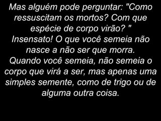 Mas alguém pode perguntar: "Como
ressuscitam os mortos? Com que
espécie de corpo virão? "
Insensato! O que você semeia não
nasce a não ser que morra.
Quando você semeia, não semeia o
corpo que virá a ser, mas apenas uma
simples semente, como de trigo ou de
alguma outra coisa.
 
