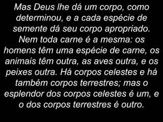 Mas Deus lhe dá um corpo, como
determinou, e a cada espécie de
semente dá seu corpo apropriado.
Nem toda carne é a mesma: os
homens têm uma espécie de carne, os
animais têm outra, as aves outra, e os
peixes outra. Há corpos celestes e há
também corpos terrestres; mas o
esplendor dos corpos celestes é um, e
o dos corpos terrestres é outro.
 