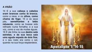 A VISÃO
14 E a sua cabeça e cabelos
eram brancos como lã branca,
como a neve, e os olhos, como
chama de fogo; 15 e os seus
pés, semelhantes a latão
reluzente, como se tivesse sido
refinado numa fornalha; e a sua
voz, como a voz de muitas águas.
16 E ele tinha na sua destra sete
estrelas; e da sua boca saía
uma aguda espada de dois fios;
e o seu rosto era como o sol,
quando na sua força resplandece.
 