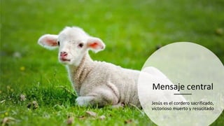 Mensaje central
Jesús es el cordero sacrificado,
victorioso muerto y resucitado
 