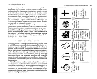 1¡j4

I APOCALIPSIS

SIN VELO

más gt:ntt: que la qUl: se salvó durante el ministerio JI.: los apóstoles, de
los padres de la igbia primitiva, los predicadores de la Reforma, las misiones modernas, las fragmentadas denominaciones, la predicación por
radio y televisión, e incluso se salvarán más que en el día de hoy, cuando
las iglesias locales que enseñan la Biblia parecen estar ganando un número tan grande de almas. Este concepto es más que un sueño optimista,
porque es una conclusión razonable de una serie de realidades proféticas, las cuales llegan a su punto cumbre en el texto de Apocalipsis 7:9:
«Una multitud tomada de todas las naciones, tribus, pueblos y lenguas;
era tan grande que nadie podía contarla.»
Casi nunca un concepto profético puede reducirse a una ecuación,
pero el cuadro siguiente muestra que la cosecha de almas durante la tribulación excederá en número a todas las conversiones de los casi dos milenios de historia de la iglesia. Lo reto a que lo estudie junto con la subsiguiente explicación para ver si está de acuerdo. Una de las características
que emociona a los millones de lectores de nuestras novelas proféticas
Dejados Atrds es la enorme Cosecha de Almas que se describe en el volumen 4 que lleva el mismo nombre.

Los ciento cuarenta y cuatro mil siervos de Dios

- - - - - - - - - - '-

+

LOS EFECTOS DEL RAPTO EN EL MUNDO
Aunque el anticristo y sus seguidores estarán encantados de (¡Ut: la iglesia
se quitó del mundo, muchos individuos con capacidad de reflexión quedarán muy impresionados por la misteriosa evacuación de millones de
personas. Algunos sugirieron. y creo que correctamente, que el rapto dejará sus marcas sobre la humanidad. Piense por un momento qué sucedería si el arrebatamiento tiene lugar mientras los pilotos cristianos de
una aerolínea se encuentran conduciendo sus 747 o sus DC 10 cargados
de personas. O piense en el impacto que se producirá en la humanidad
cuando cientos de maquinistas de trenes, o conductores de automóviles
y de autobuses desaparezcan de repente de los controles de sus vehículos
en movimiento.
Como los cristianos invadieron casi todas las profesiones legítimas,
el rapto dejará un vació sin precedentes y producirá las consecuencias
más caóticas y perjudiciales que jamás resultaron como consecuencia de
un solo acontecimiento. Sí, la gente tendrá plena conciencia del aspecto
sobrenatural del rapto de millones alrededor de todo el mundo, en particular cuando descubran que el único común denominador entre los
raptados era su fe personal en Cristo.

O

~~ .9 .g
e, t:: a

*8

.§ ~ o

~J5a
u

------~ -~------:'....(,

.9

>-]

U~t::

el)

~

~

o ::s ::s
~ u
u

--c}--

-....el)

o o

o
o.. .... "O
.... o s::
t::
o
CIl
.g o
o
u

,~
~

~

E

J85

 