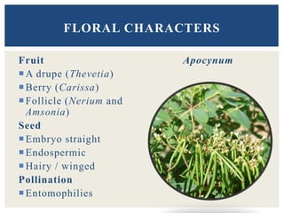 Fruit
A drupe (Thevetia)
Berry (Carissa)
Follicle (Nerium and
Amsonia)
Seed
Embryo straight
Endospermic
Hairy / winged
Pollination
Entomophilies
Apocynum
FLORAL CHARACTERS
 