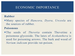 Rubber
Many species of Hancora, Dyera, Urceola are
the sources of rubber.
Poisonous
The seeds of Thevetia contain Thevetine a
poisonous glycoside. The latex of Acokanthera is
used for poisoning arrows. The bark and wood of
Nerium indicum provide rat-poison.
ECONOMIC IMPORTANCE
 