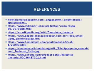  www.biologydiscussion.com › angiosperm › dicotyledons ›
apocynaceae-..
 https://www.indiamart.com/proddetail/vinca-rosea-
8073079688.html
 https://en.wikipedia.org/wiki/Cascabela_thevetia
 https://www.dapplelandscapedesign.com.au/Trees/small-
trees/plumeria-alba.htm
 https://www.homedepot.com/p/Allamanda-Shrub-
1/202903398
 https://commons.wikimedia.org/wiki/File:Apocynum_cannabi
num_Toulouse_fruits.jpg
 https://www.alibaba.com/product-detail/Wrightia-
tinctoria_50036487701.html
REFERENCES
 