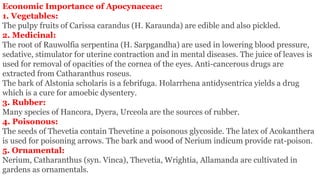Economic Importance of Apocynaceae:
1. Vegetables:
The pulpy fruits of Carissa carandus (H. Karaunda) are edible and also pickled.
2. Medicinal:
The root of Rauwolfia serpentina (H. Sarpgandha) are used in lowering blood pressure,
sedative, stimulator for uterine contraction and in mental diseases. The juice of leaves is
used for removal of opacities of the cornea of the eyes. Anti-cancerous drugs are
extracted from Catharanthus roseus.
The bark of Alstonia scholaris is a febrifuga. Holarrhena antidysentrica yields a drug
which is a cure for amoebic dysentery.
3. Rubber:
Many species of Hancora, Dyera, Urceola are the sources of rubber.
4. Poisonous:
The seeds of Thevetia contain Thevetine a poisonous glycoside. The latex of Acokanthera
is used for poisoning arrows. The bark and wood of Nerium indicum provide rat-poison.
5. Ornamental:
Nerium, Catharanthus (syn. Vinca), Thevetia, Wrightia, Allamanda are cultivated in
gardens as ornamentals.
 
