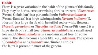 Habit:
There is a great variation in the habit of the plants of this family.
They may be herbs, erect or twining shrubs or trees. Vinca rosea
(Verna-Sadabahar) is a perennial herb; Vallaris solanacea
(Verna-Ramsar) is a large twining shrub; Nerium indicum (N.
odorum) is a large shrub with beautiful red or white flowers;
Thevetia peruviana or Thevetia nerifolia (Verna-Pili kaner) is a
large shrub or a small tree; Plumeria acutifolia is a small sized
tree and Alstonia scholaris is a medium sized tree. In some
genera, the stem becomes tuber like, e.g., Adenium. The species
of Landolphia and Clitandra are climbing shrubs.
The latex is present in most of the genera.
 