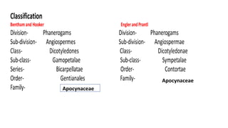 Apocynaceae
AA
Apocynaceae
Apocynaceae
 