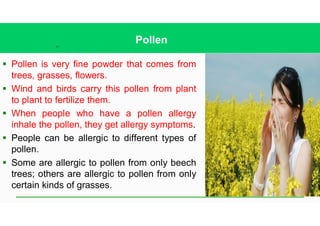 10
Pollen
§ Pollen is very fine powder that comes from
trees, grasses, flowers.
§ Wind and birds carry this pollen from plant
to plant to fertilize them.
§ When people who have a pollen allergy
inhale the pollen, they get allergy symptoms.
§ People can be allergic to different types of
pollen.
§ Some are allergic to pollen from only beech
trees; others are allergic to pollen from only
certain kinds of grasses.
 