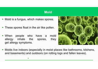 11
Mold
§ Mold is a fungus, which makes spores.
§ These spores float in the air like pollen.
§ When people who have a mold
allergy inhale the spores, they
get allergy symptoms.
§
§ Molds live indoors (especially in moist places like bathrooms, kitchens,
and basements) and outdoors (on rotting logs and fallen leaves).
 