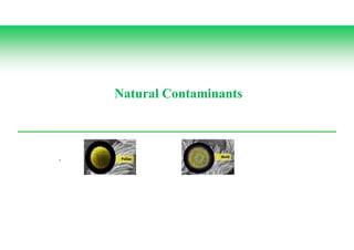 9
Natural Contaminants
 