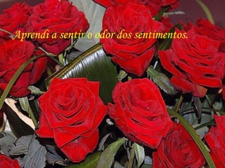 Aprendi a sentir o odor dos sentimentos. 