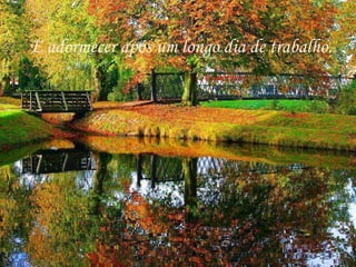 E adormecer após um longo dia de trabalho. 