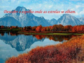 Descobri o espelho onde as estrelas se olham. 