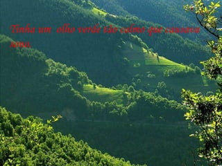 Tinha um  olho verde tão calmo que causava sono.  