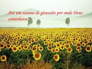 Até um oceano de girassóis por onde Deus caminhava. 