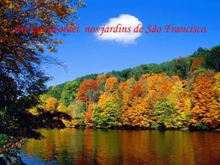 Até que acordei  nos jardins de São Francisco.  