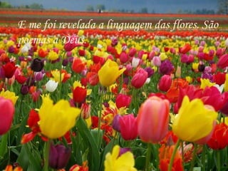 E me foi revelada a linguagem das flores. São poemas a Deus. 