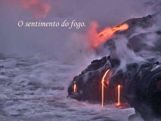 O sentimento do fogo. 