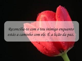 Reconcilia-te com o teu inimigo enquanto
estás a caminho com ele. É a lição da paz.
 