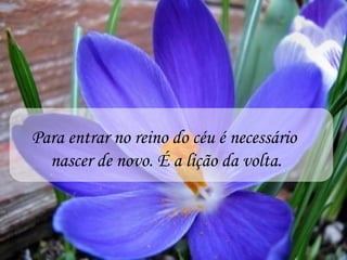 Para entrar no reino do céu é necessário
  nascer de novo. É a lição da volta.
 