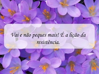 Vai e não peques mais! É a lição da
            resistência.
 