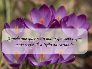 Aquele que quer ser o maior que seja o que
   mais serve. É a lição da caridade.
 