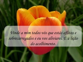 Vinde a mim todos vós que estás aflitos e
sobrecarregados e eu vos aliviarei. É a lição
             do acolhimento.
 