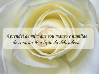 Aprendei de mim que sou manso e humilde
  de coração. É a lição da delicadeza.
 