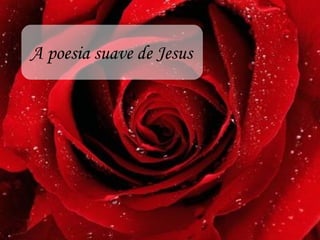 A poesia suave de Jesus
 