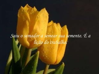 Saiu o semador a semear sua semente. É a lição do trabalho. 
