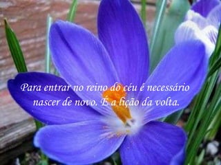 Para entrar no reino do céu é necessário  nascer de novo. É a lição da volta. 