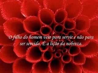 O filho do homem veio para servir e não para ser servido. É a lição da nobreza. 