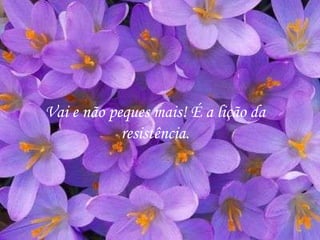 Vai e não peques mais! É a lição da resistência. 