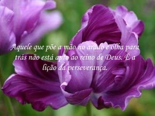 Aquele que põe a mão no arado e olha para trás não está apto ao reino de Deus. É a lição da perseverança. 