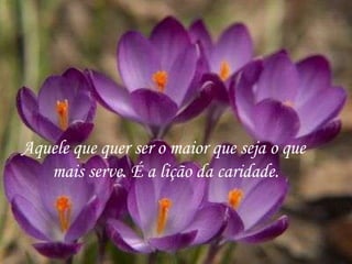 Aquele que quer ser o maior que seja o que  mais serve. É a lição da caridade. 