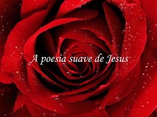 A poesia suave de Jesus

 