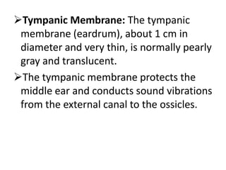 Tympanic Membrane: The tympanic
membrane (eardrum), about 1 cm in
diameter and very thin, is normally pearly
gray and translucent.
The tympanic membrane protects the
middle ear and conducts sound vibrations
from the external canal to the ossicles.

 