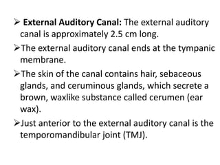  External Auditory Canal: The external auditory
canal is approximately 2.5 cm long.
The external auditory canal ends at the tympanic
membrane.
The skin of the canal contains hair, sebaceous
glands, and ceruminous glands, which secrete a
brown, waxlike substance called cerumen (ear
wax).
Just anterior to the external auditory canal is the
temporomandibular joint (TMJ).

 