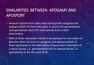 SIMILARITIES BETWEEN APOGAMY AND
APOSPORY
• Asexual reproduction takes place during both apogamy and
apospory.Both of them take place in plants.The gametophyte
and sporophyte share the same ploidy level in both
phenomena.
• Both of them take place mainly in bryophytes.The formation of
gametes does not occur in apogamy and apospory.Both of
them participate in the alternation of generation (alteration of
a sexual phase, i.e., gametophyte and an asexual phase, i.e.,
sporophyte) in the life cycle of an
 